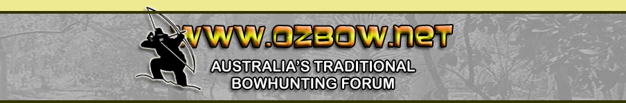 Ozbow Banner