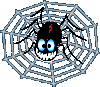 Spiderweb